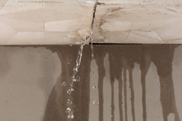 Professional Water Damage Repair technician working in Londonderry, OH